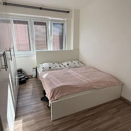 Moderni S Pohodlim Navic Apartment *